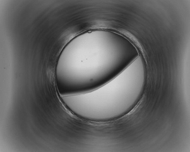 X0000088391337200705220753