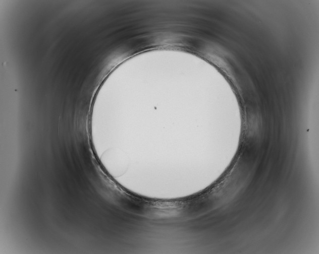 X0000088391338200705220753