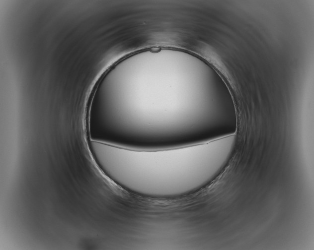 X0000088391339200705220753