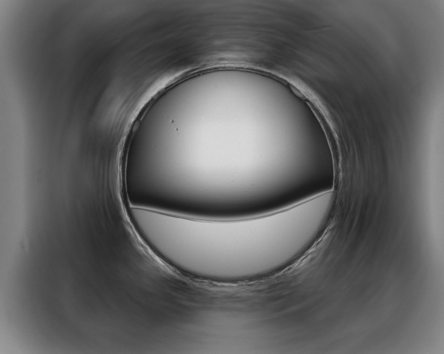 X0000088391341200705220753