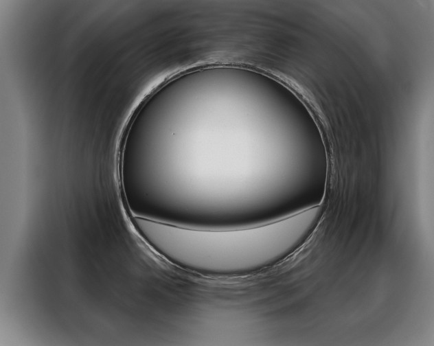 X0000088391342200705220753