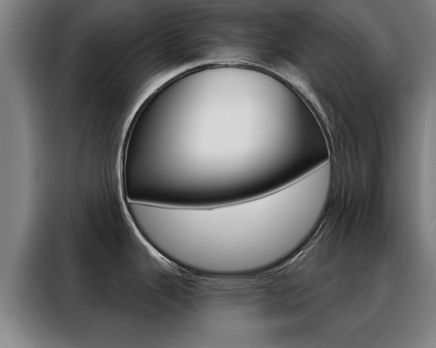 X0000088391343200705220753