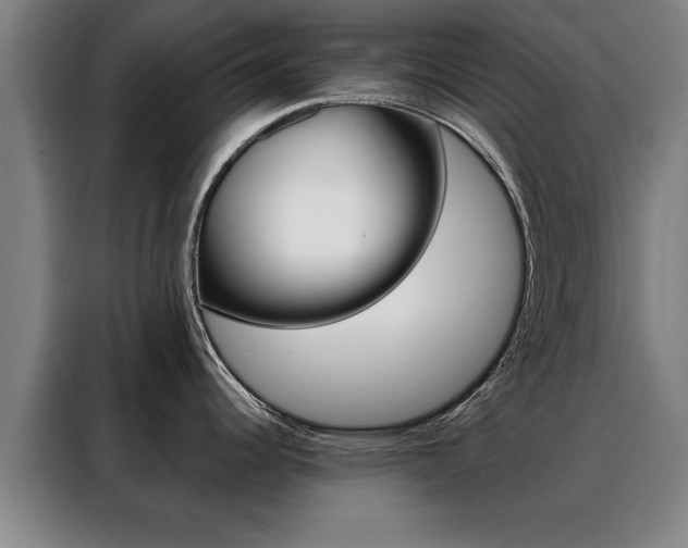 X0000088391344200705220753