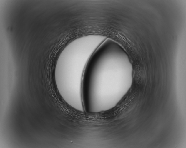 X0000088391345200705220753