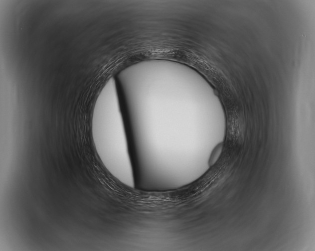 X0000088391346200705220753