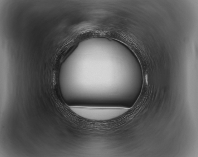 X0000088391347200705220753