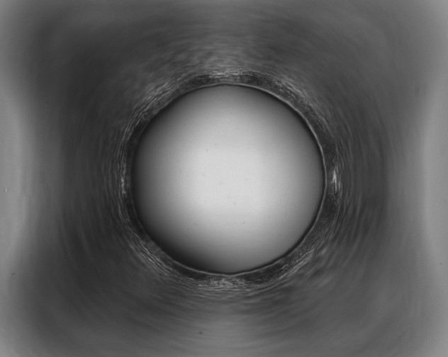 X0000088391348200705220753