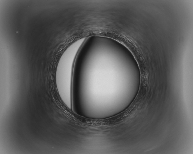 X0000088391349200705220753