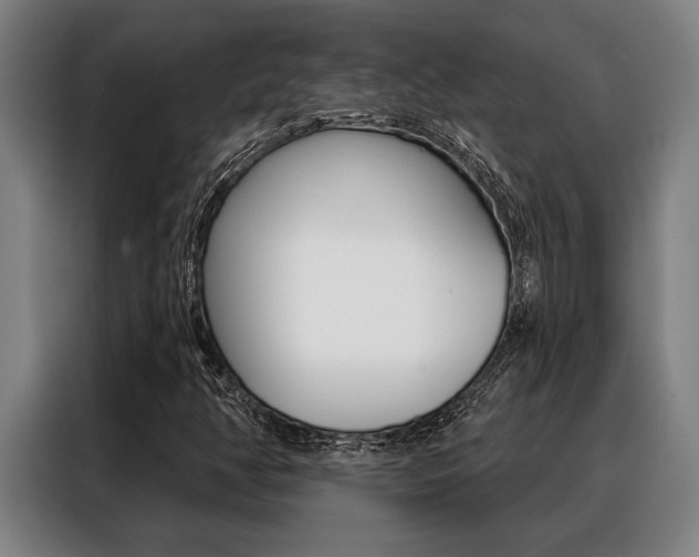 X0000088391350200705220753