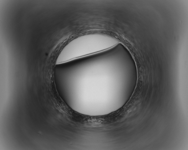 X0000088391351200705220753