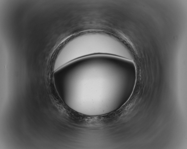 X0000088391352200705220753