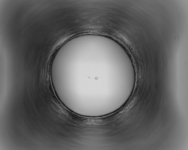 X0000088391354200705220753