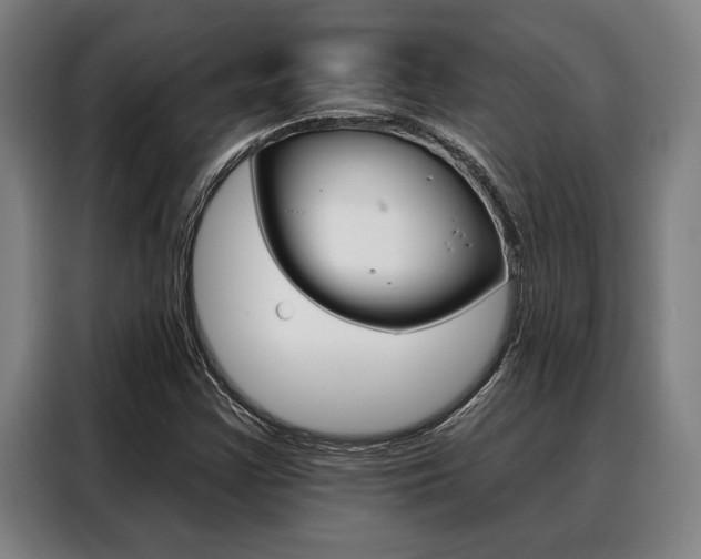 X0000088391355200705220753