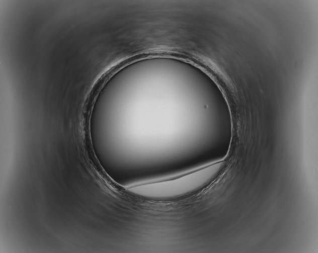 X0000088391356200705220753