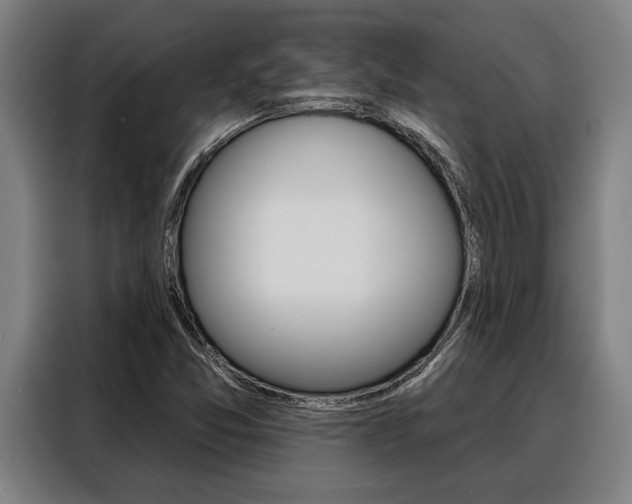 X0000088391357200705220752