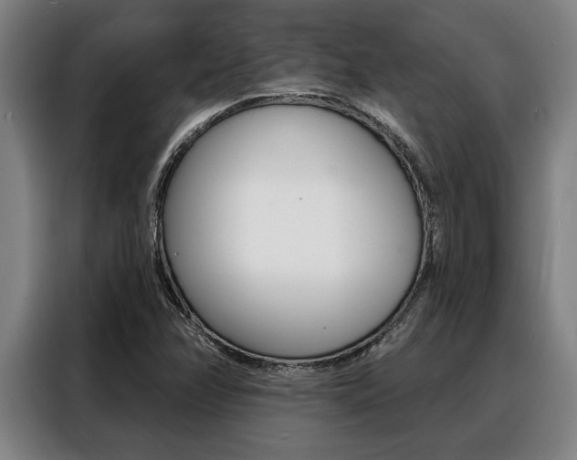 X0000088391358200705220752
