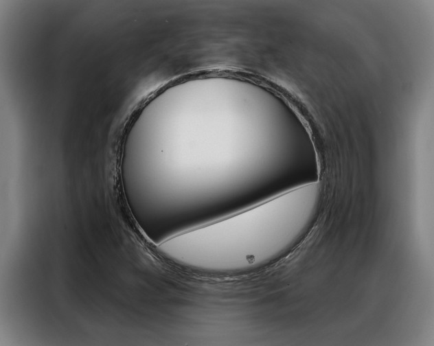 X0000088391359200705220752