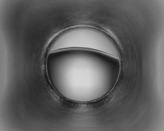X0000088391360200705220752