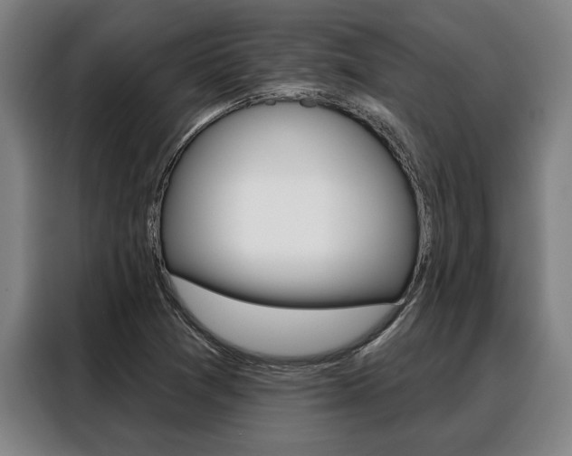 X0000088391361200705220752