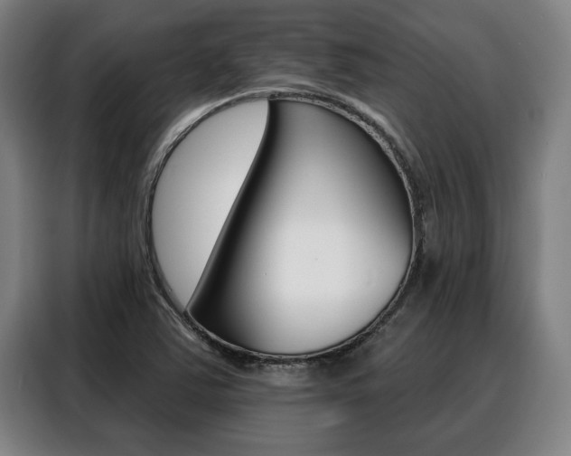 X0000088391363200705220752
