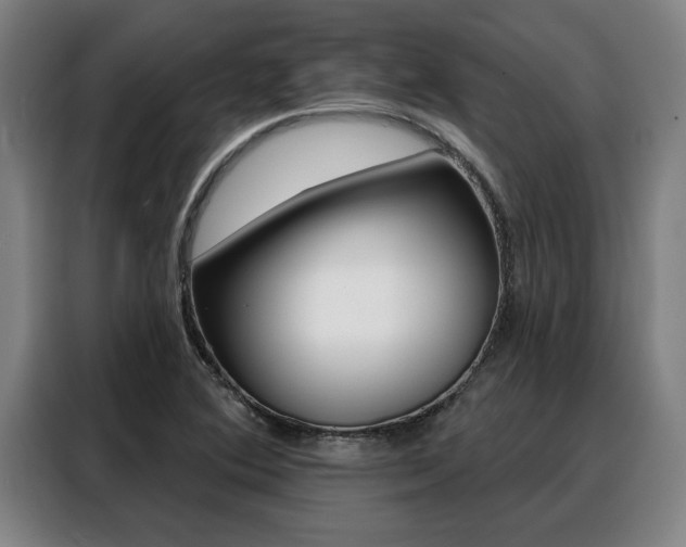 X0000088391364200705220752