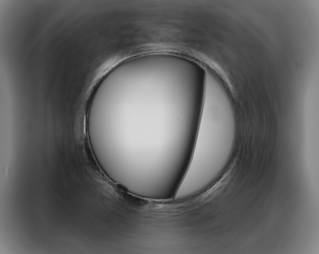 X0000088391365200705220752