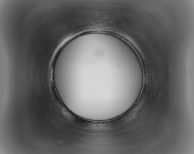 X0000088391366200705220752