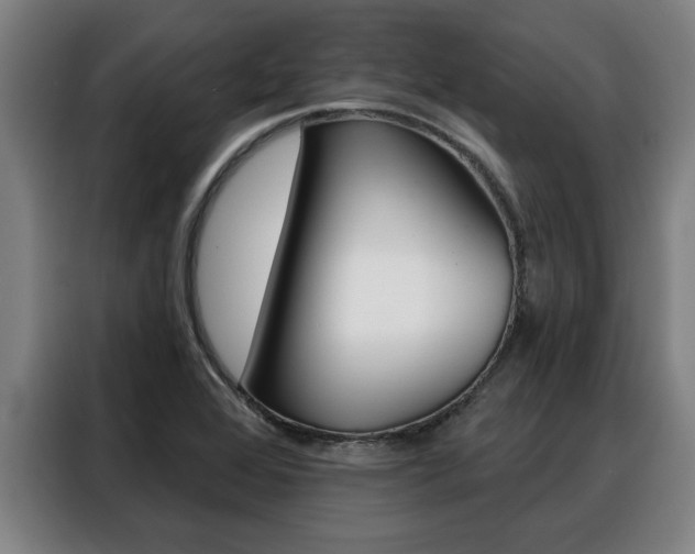 X0000088391368200705220752