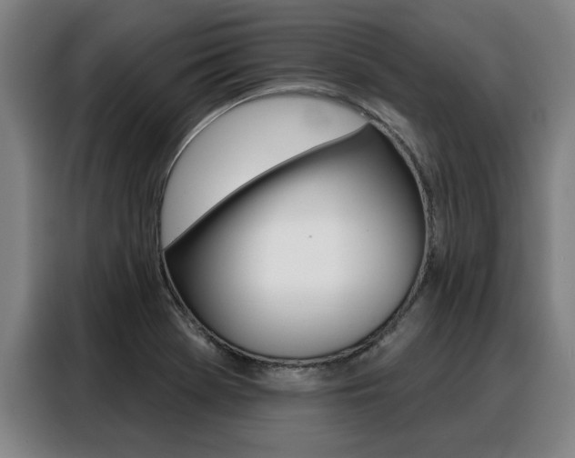 X0000088391369200705220752