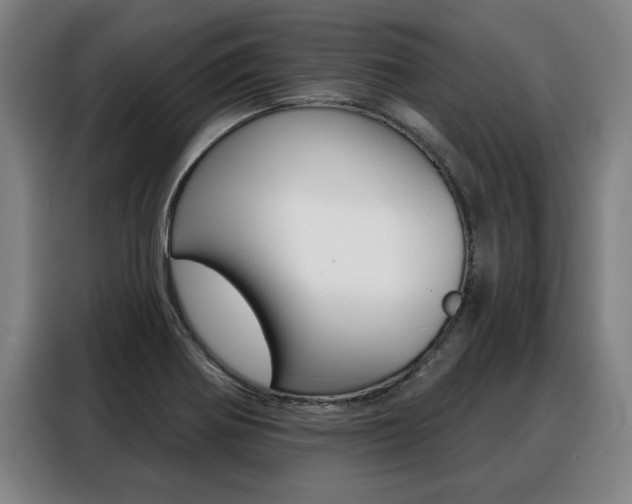 X0000088391370200705220752
