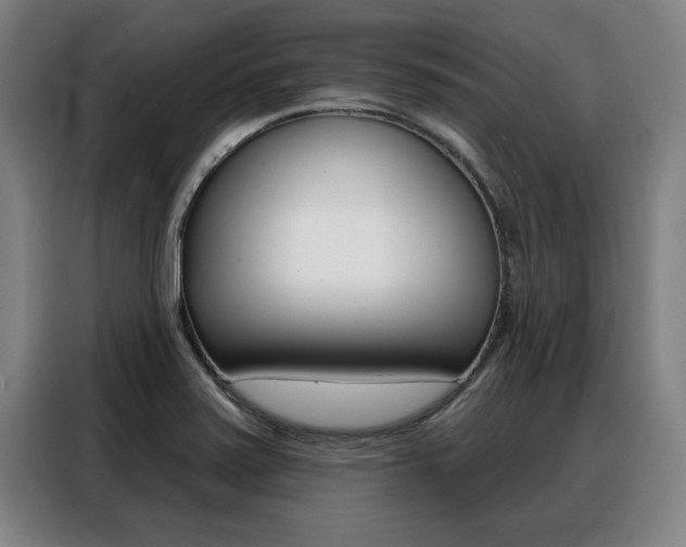 X0000088391371200705220752