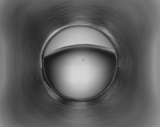 X0000088391372200705220752