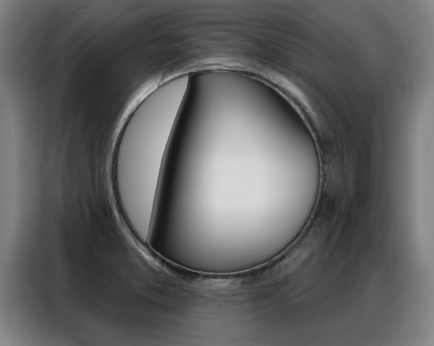 X0000088391373200705220752