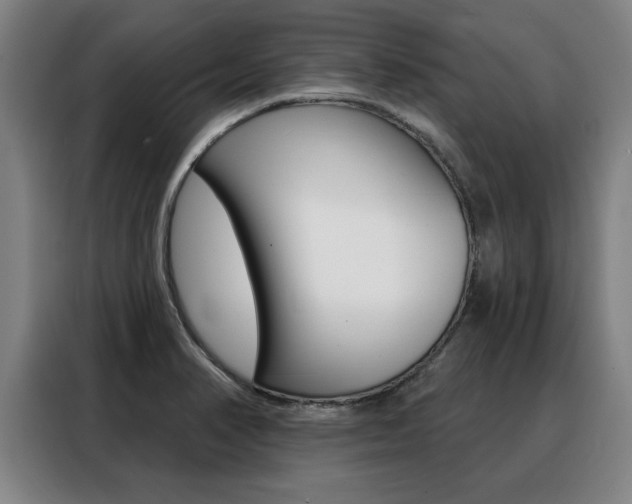X0000088391374200705220752