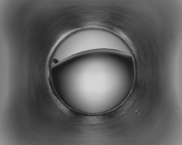 X0000088391376200705220752
