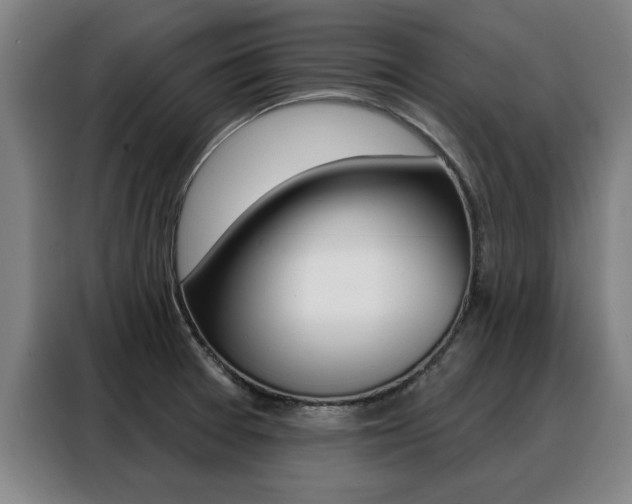 X0000088391377200705220752