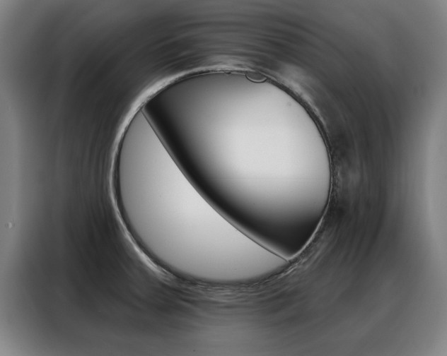 X0000088391379200705220752