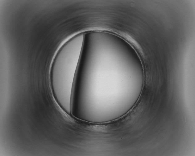 X0000088391380200705220752