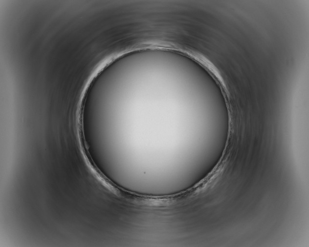 X0000088391381200705220752