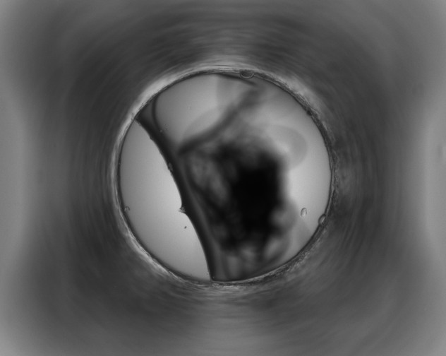 X0000088391382200705220752