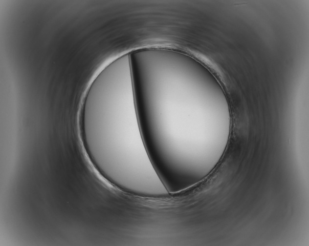 X0000088391383200705220752