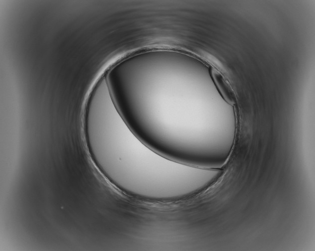 X0000088391384200705220752