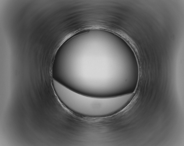 X0000088391385200705220752