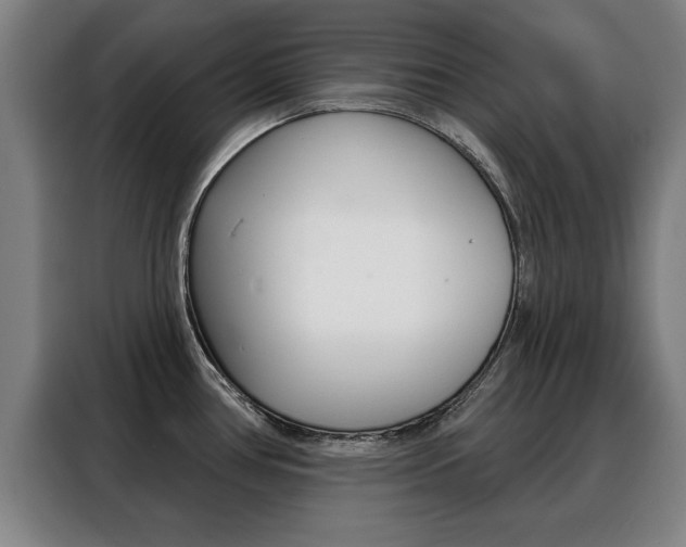 X0000088391386200705220752