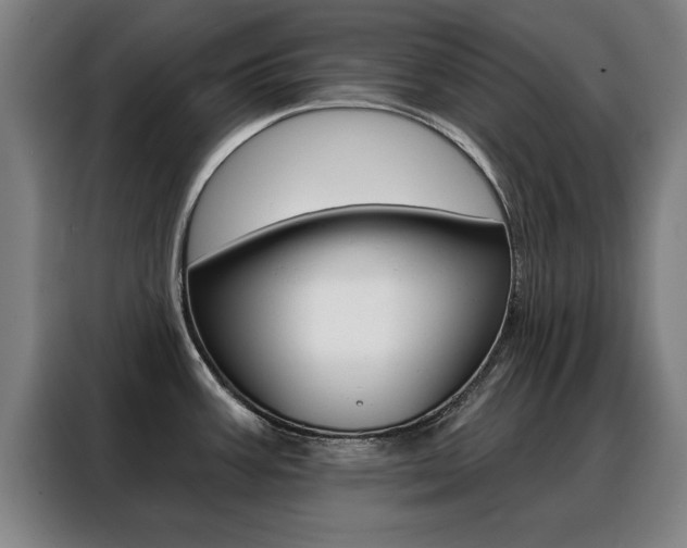 X0000088391387200705220752