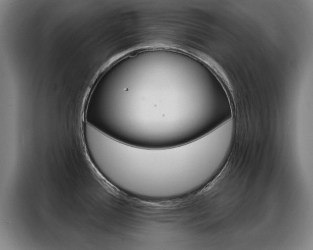 X0000088391388200705220752