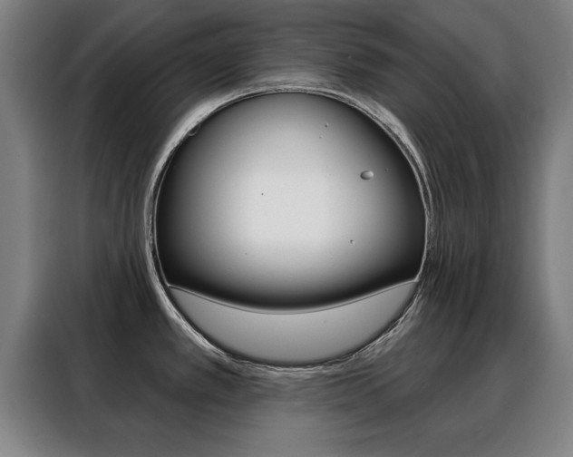 X0000088391389200705220752