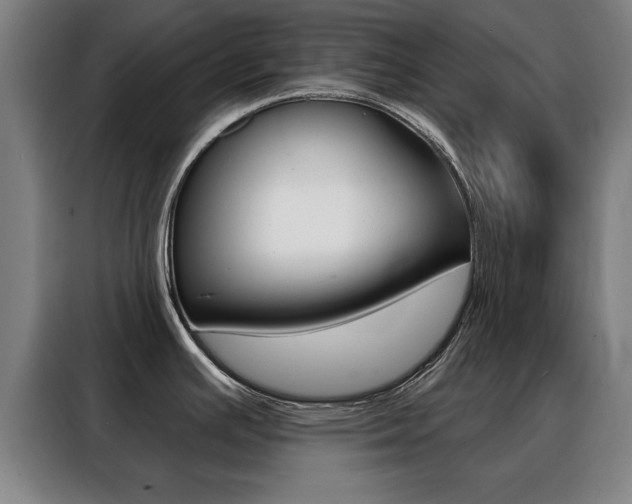 X0000088391391200705220752