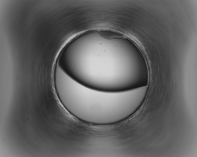 X0000088391392200705220752