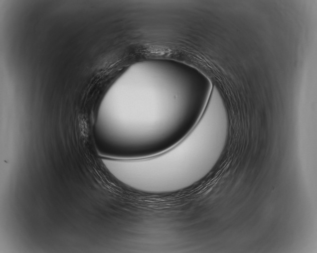 X0000088391394200705220751